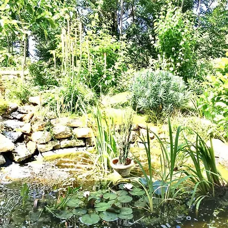 Il Giardino Del Borgo *