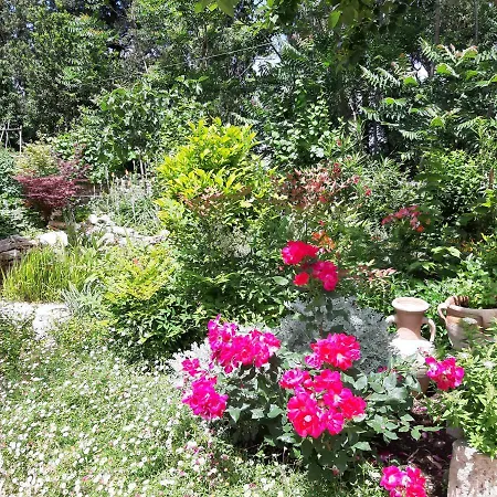 Il Giardino Del Borgo Serre Di Rapolano